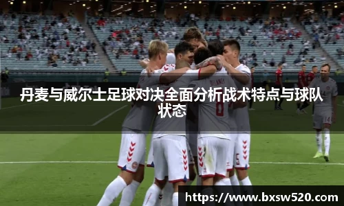 丹麦与威尔士足球对决全面分析战术特点与球队状态
